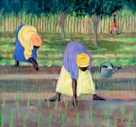 Donne che fanno giardinaggio, 2005